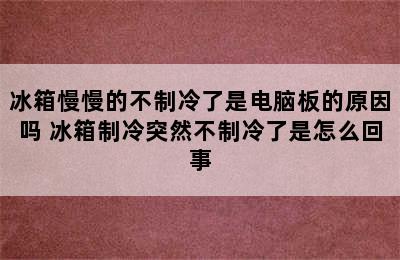 冰箱慢慢的不制冷了是电脑板的原因吗 冰箱制冷突然不制冷了是怎么回事